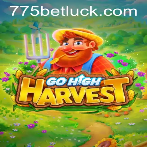 An In-Depth Exploration of GoHighHarvest and 775bet PH Login